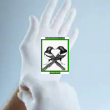 Exam Gloves - Powdered